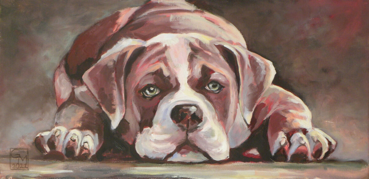 Junge englische Bulldogge, Ölbild von Gabriele Maderböck